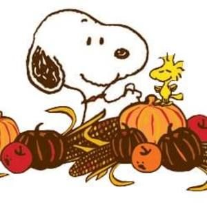 Meet your Posher, Joseph